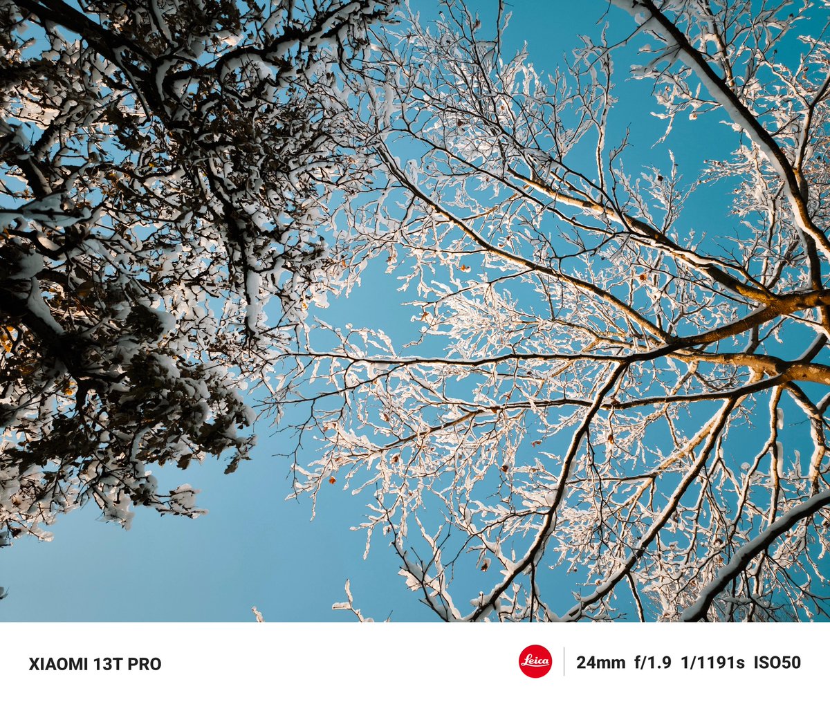 An enchanting winter wonderland! ❄️

📸by Callie (IG: callie_eh) #XiaomiCreators #Xiaomi13Series