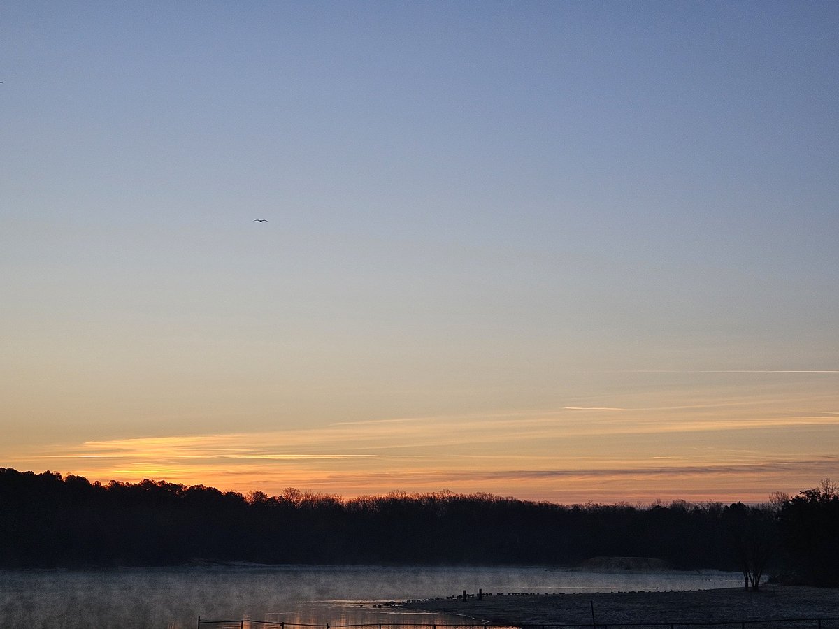 Wednesday morning vibes ☕️✨️ 
#Nature #Wednesdayvibe 
#December13 #morning 
#NaturePhotography