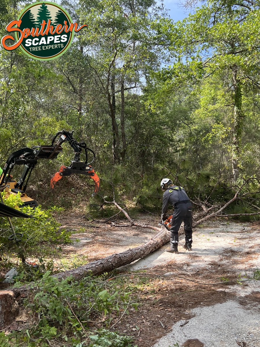 ScapesTree's tweet image. 🛠️🆘 Dealing with storm debris? We've got the tools and expertise! 🌧️🌲 Southern Scapes Tree Experts provides reliable cleanup and debris removal services. #StormDebrisRemoval #PostDisasterRecovery #SouthernScapesTreeExperts s2tree.com/services/storm…