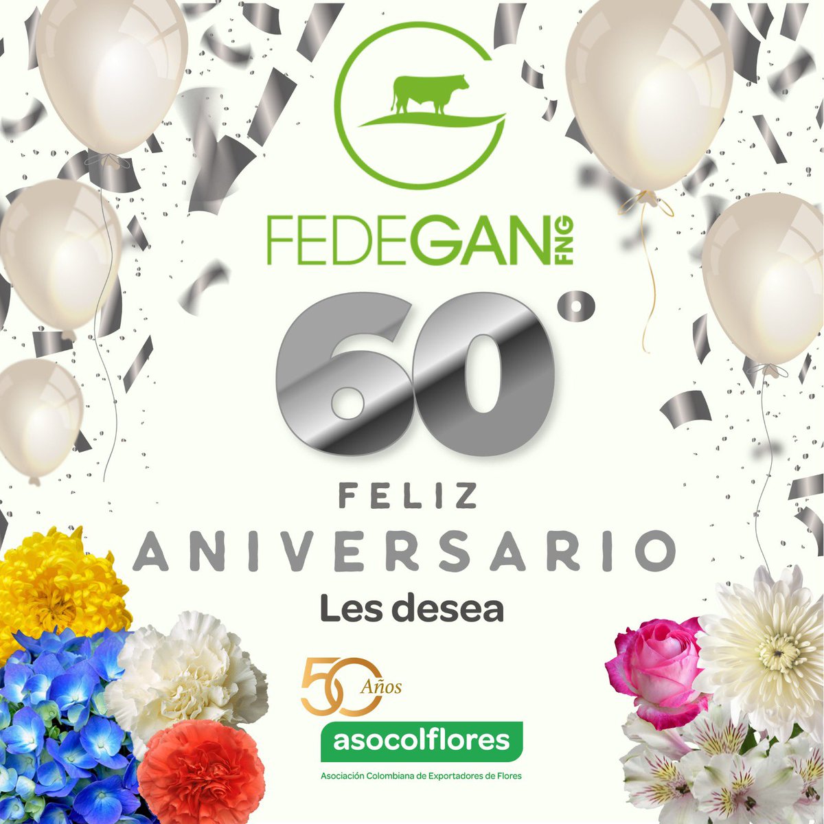 Desde @Asocolflores extendemos nuestras cálidas felicitaciones a @Fedegan en su sexagésimo aniversario. Que sigamos cultivando juntos un futuro próspero para el #campocolombiano. 🌸🌿🎉 #CreciendoJuntos #AgriculturaSostenible #Asocolflores #FlowersOfColombia