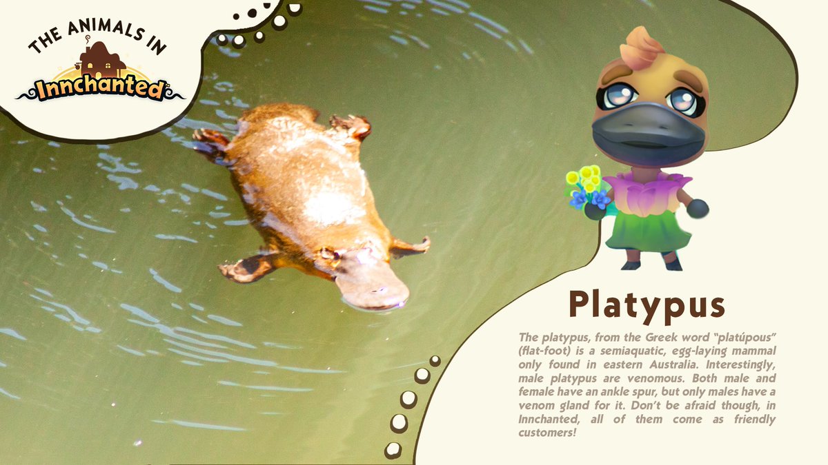 Few animals are as #Australian as the platypus! 🦆 What's your favorite animal in Innchanted? 💬 #indiegame #indiedev #gaming #AnimalsLover