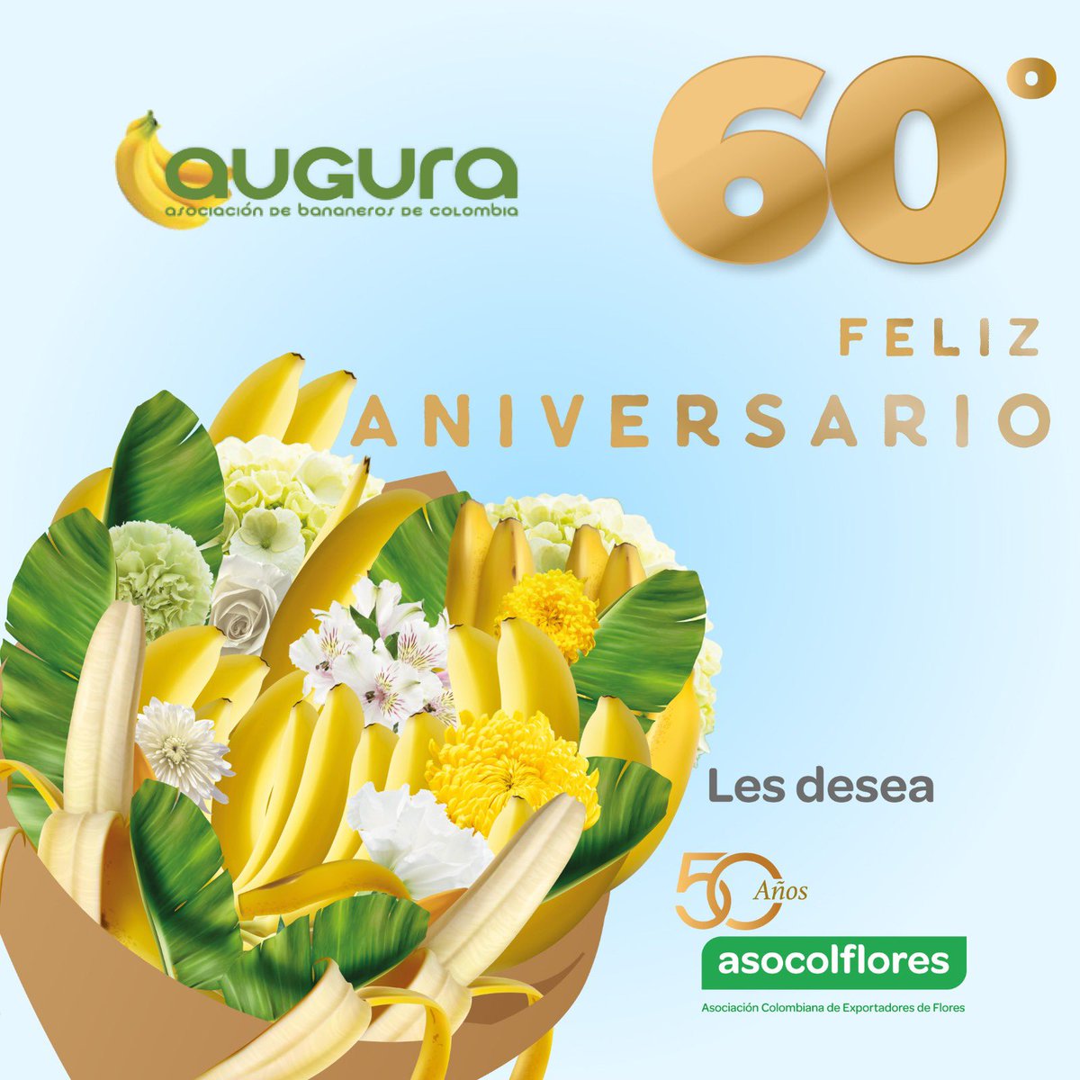 ¡Felices 60 años, @AuguraColombia ! Que sigamos creciendo juntos, cultivando historias de éxito que reflejen la belleza y la fortaleza de #Colombia en cada rincón del mundo.🍌💐 #Augura60años #Asocolflores #FlowersOfColombia
