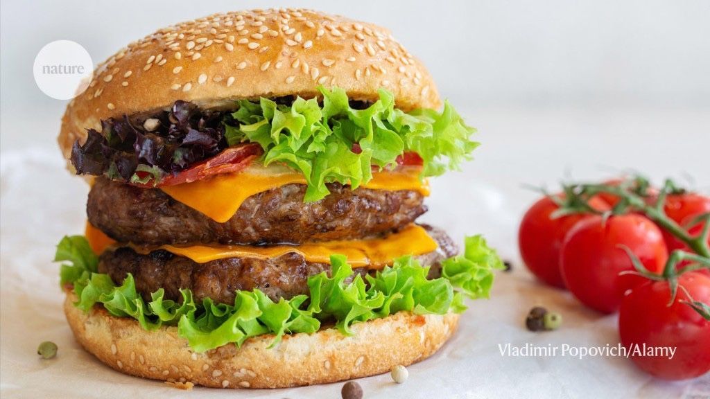 “Reducing the consumption of animal products in high-consuming countries would deliver the biggest results in the short term and should be the priority,” 

Eat less meat: Will the first global climate deal on food work? buff.ly/3NmvGOs