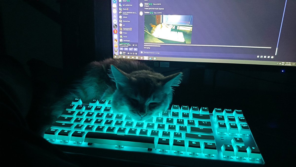 Darisu- (@darisu14) on Twitter photo 