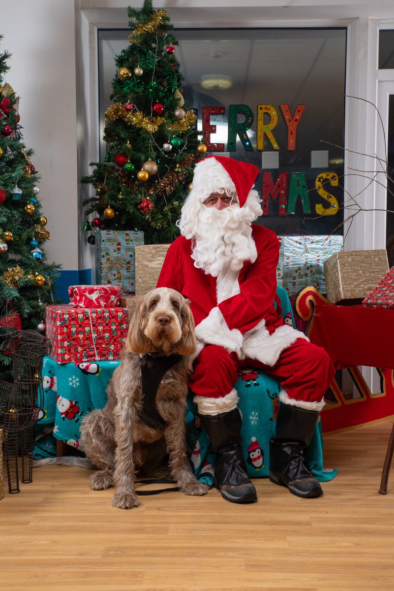 Thanks to @GraceHouse10 for organising their Santa Paws event last week, Paddy loved it!