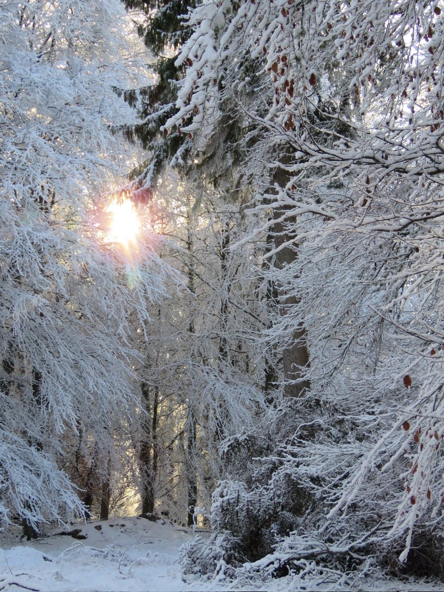 Winter scenes in the Highlands #winteronthefarm