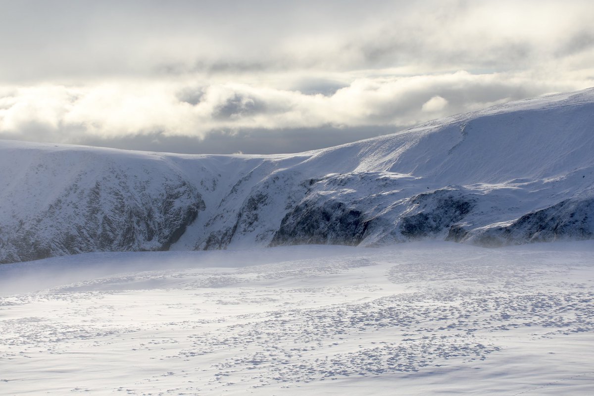 Iain Cameron tweet media