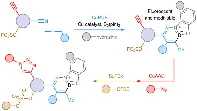 Boron-Chem-Research (@boron_chemistry) on Twitter photo Click processes orthogonal to CuAAC and SuFEx forge selectively modifiable fluorescent linkers (<a href="/HoveydaLab/">Hoveyda Lab</a>): nature.com/articles/s4155… (<a href="/NatureChemistry/">Nature Chemistry</a>). Click processes orthogonal to CuAAC and SuFEx forge selectively modifiable fluorescent linkers (<a href="/HoveydaLab/">Hoveyda Lab</a>): nature.com/articles/s4155… (<a href="/NatureChemistry/">Nature Chemistry</a>).