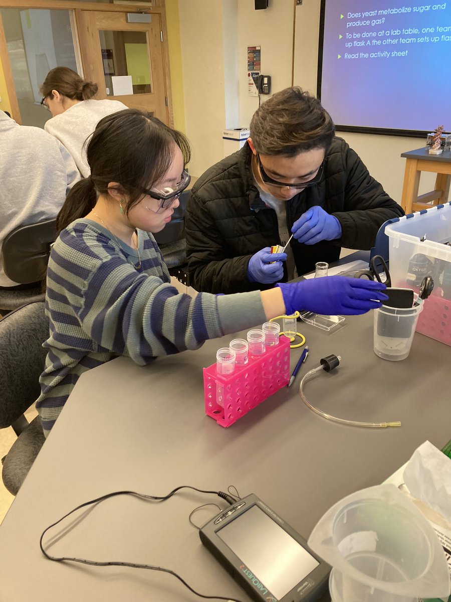 Mrs. Makrinos tweet media