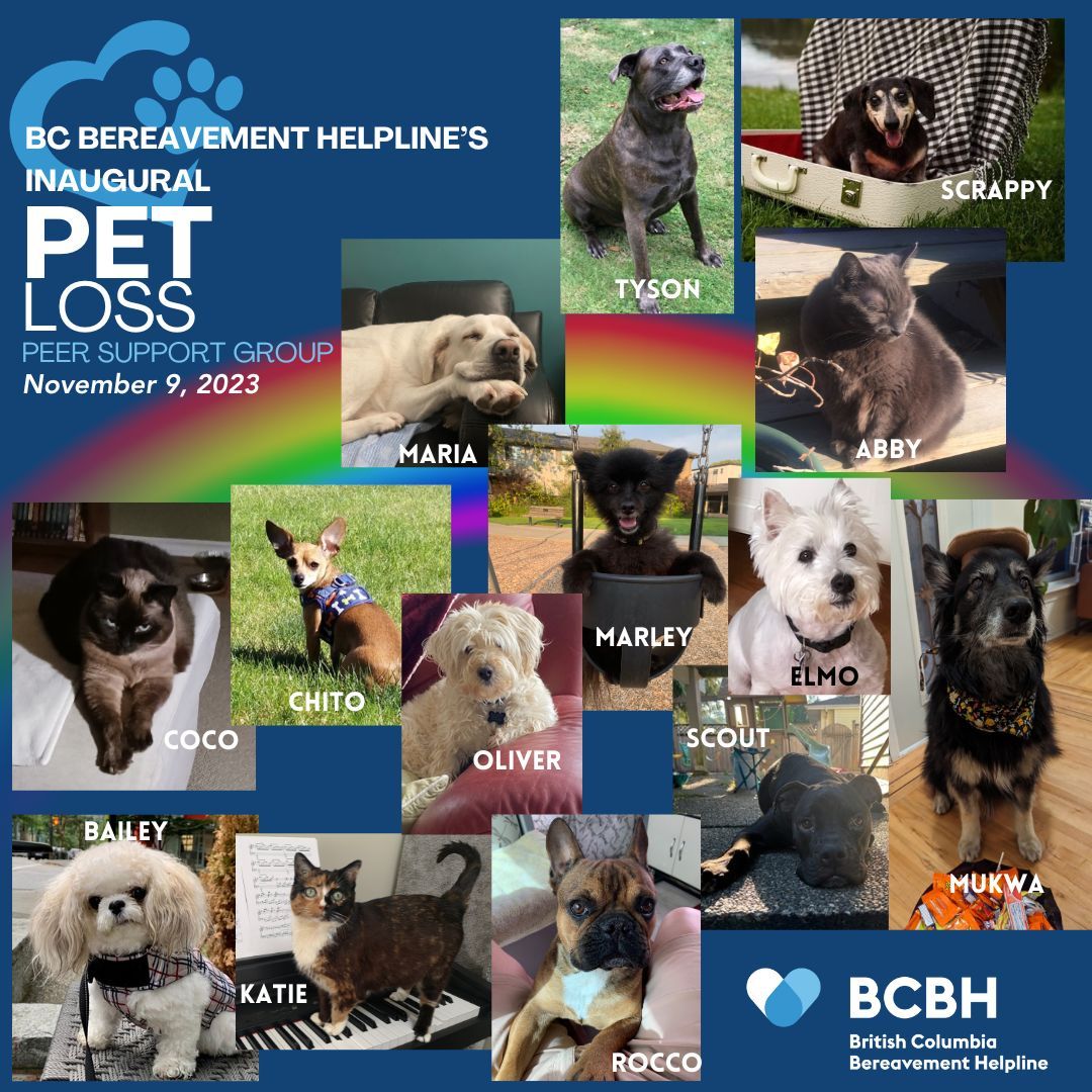 Last month, we had the honour of hosting our first pet loss peer support group. This image was created for our inaugural meeting to pay tribute to the pets that folks were there to remember. 
Our next session is tomorrow night, you can register here: buff.ly/4aj4kCQ