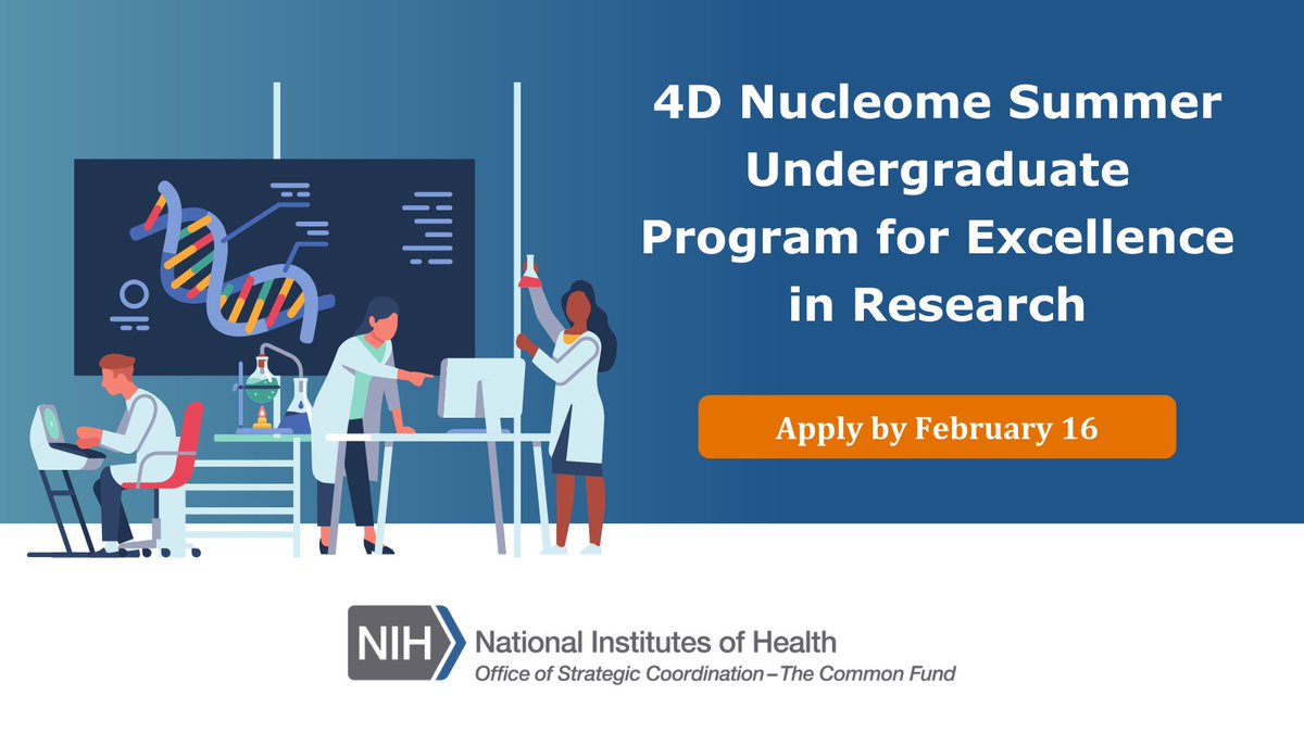 Are you an undergraduate with an interest in #genomics and #CellBiology? Check out the 2024 @4dnucleome summer undergraduate research internship opportunity and apply to work on cutting-edge research! Applications open 12/15 and close 2/16: 4dnucleome.org/internship/