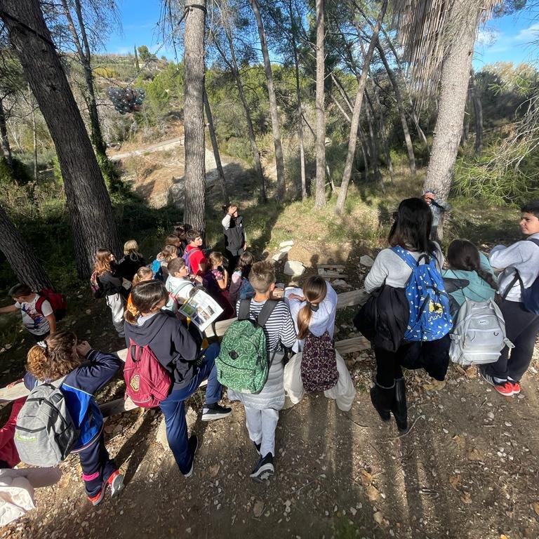 👉Los humedales artificiales pueden mejorar la calidad de las aguas residuales y  la biodiversidad pero, 🤨⁉️¿cómo funcionan?

Alumnos y alumnas de <a href="/MaristasCullera/">Maristas Cullera</a> han visitado los construídos en la EDAR de Carrícola por <a href="/LifeRenaturwat/">LifeRenaturwat</a> y ya son grandes expertos/as😉