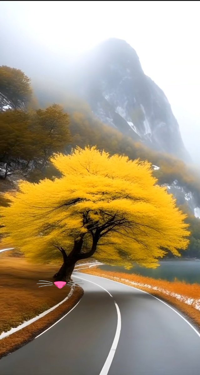 ★彡 𝓐𝓵𝓲𝓬𝓲𝓪 彡★ tweet media