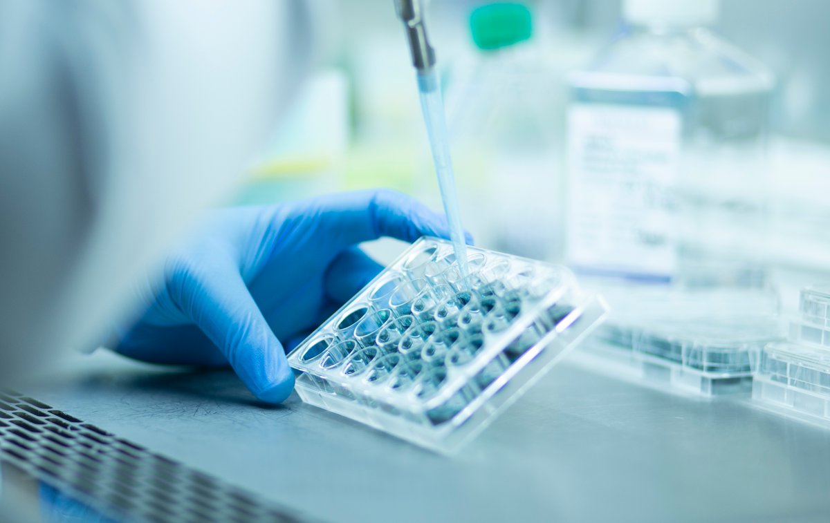 “This award results from a continuous commitment by MarfanFdn to support research. Being a grantee provides me &amp; my team with energy &amp; a strong belief that our research matters!" Learn more about the new research grants our supporters help make possible! marfan.org/2023/11/20/fou…