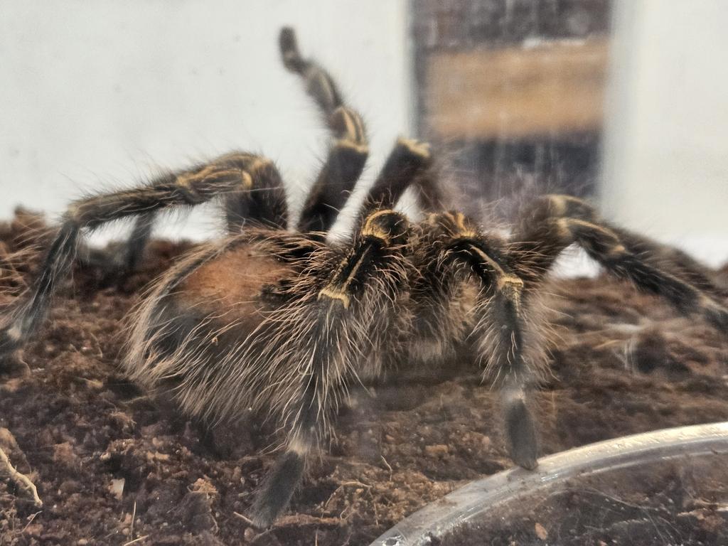 2nd year of <a href="/LTExpo_HongKong/">Learning & Teaching</a> for me. Plenty of #AILearning, #experientiallearning and #STEMed being showcased this time and lots to think about and reflect on with <a href="/HendrickseEDU/">John Hendrickse</a> <a href="/amyliang_edu/">Amy Leung</a> #VSAHKG