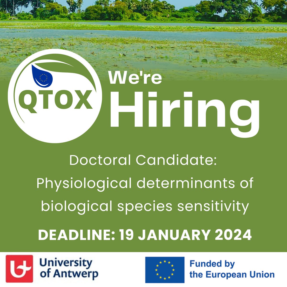 QTOX (@qtox8) on Twitter photo 📢 #HIRING 🎓Are you a Master's Degree holder in biology, chemistry, (eco)toxicology, bioscience engineering, or related fields? Join the #QTOX team as a doctoral candidate at <a href="/UAntwerpen/">UAntwerpen</a> !
📅 Deadline: 19 January 2024
🔗 Application: bit.ly/3NpR3ie 📢 #HIRING 🎓Are you a Master's Degree holder in biology, chemistry, (eco)toxicology, bioscience engineering, or related fields? Join the #QTOX team as a doctoral candidate at <a href="/UAntwerpen/">UAntwerpen</a> !
📅 Deadline: 19 January 2024
🔗 Application: bit.ly/3NpR3ie