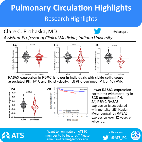 We are back with another early career professional highlight!🥁Clare Prohaska @clarepro is an assistant professor at Indiana University @IUMedSchool. Her work focuses on sickle cell disease related PH evaluating the role of RASA3 as a regulator of PH development. See more below👇