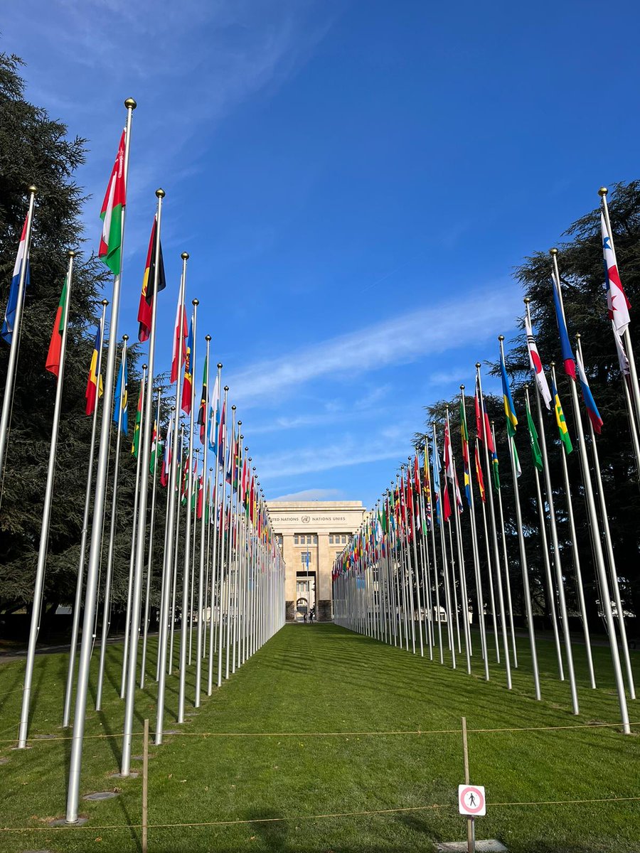 Europe_Active's tweet photo. 🌍 Last week, 6-7 December - Inspiring change at WHO's 7th Sports &amp; Physical Activity Dialogue! EuropeActive showcased key projects &amp; reinforced our commitment to global health with WHO. Exciting times ahead for societal well-being!

#EuropeActive #GlobalHealth #FitnessIndustry https://t.co/mT2EpWly2N
