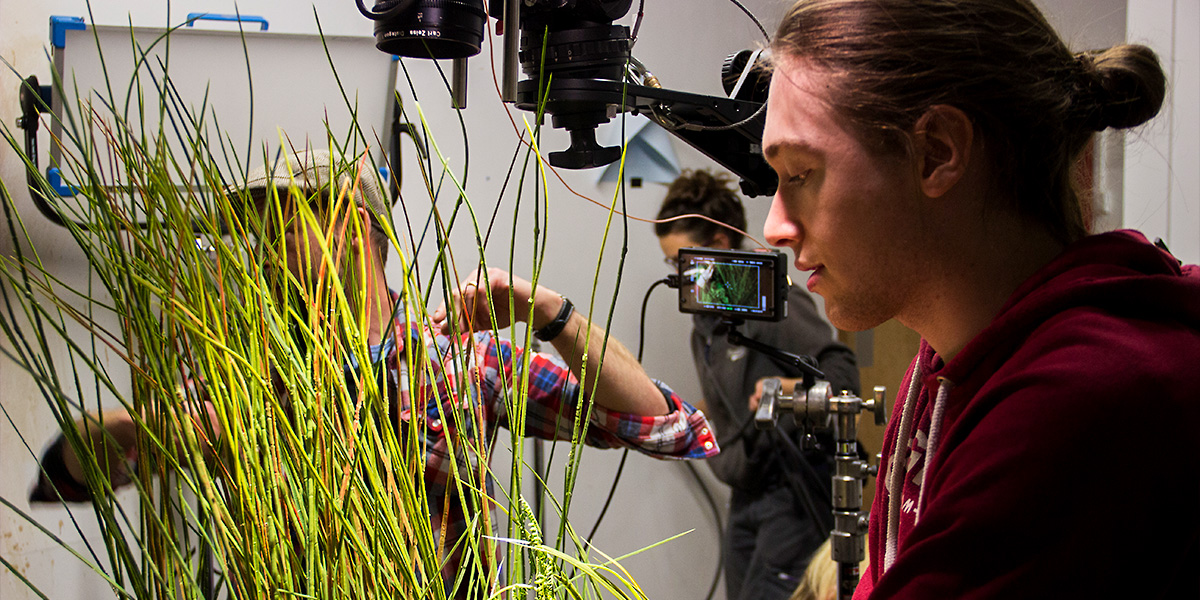 FilmHubNorth's tweet image. Sci-Fi Stories is tomorrow! 

Join us in conversation with Sean Mckenna for a chat about the making of his mind-bending short Future Perfect.

Feat. gaffer tape, hair dryers &amp;amp; a paddling pool full of mud!

📆  14:00, Thursday 14 December
🚀  Sign up &amp;gt;&amp;gt; bit.ly/3GszGsQ