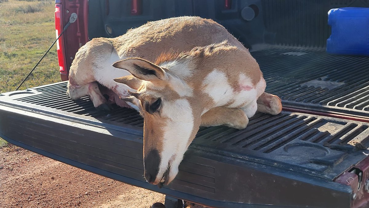 'Once again the Electronic Shooters Protection ear protection worked great and it's always nice to not have your hearing impacted after the shot.' - Matt Mungiole

#huntingbuddies #gonehunting #happyhunting #lovetohunt #hunters #huntingseason #hunting #espamerica