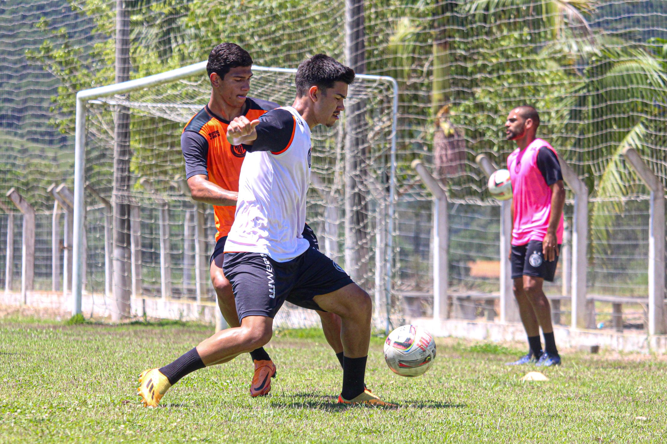 Hercílio Luz Futebol Clube (@HercilioLuz1918) / X