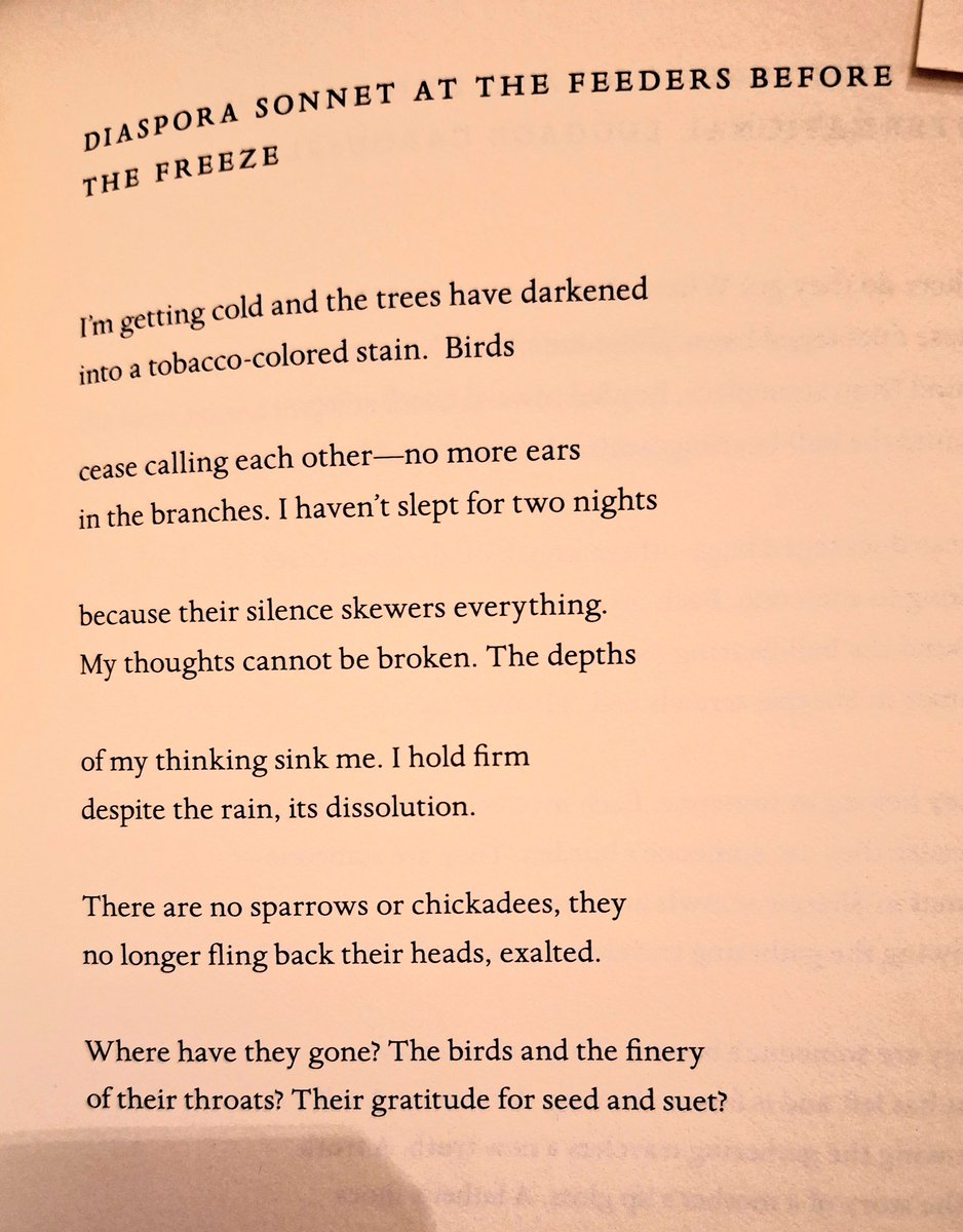 “At the Feeders Before the Freeze” by Oliver de la Paz from his great book Diaspora Sonnets.

#jenniferjeanwriter #writinglife #creativelife #poetry #poetscommunity #writingcommunity #bostonpoets #lilypoets #thursdaypoets #writinginspiration #tipsforpoets #poetryreading