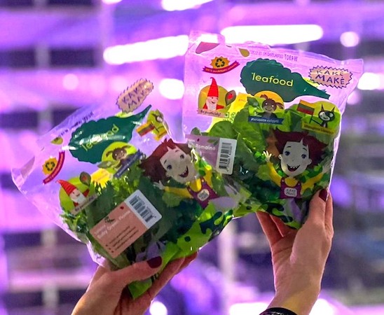 Lithuania: Vertical farm adds two lettuce varieties to retail
verticalfarmdaily.com/article/958523…