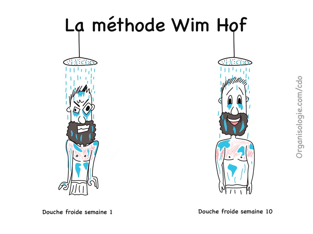 Je me suis immergé dans la méthode Wim Hof durant 10 semaines.

Les bienfaits de la méthode : renforcement du système immunitaire, meilleure humeur, moins de stress.

Mon compte-rendu détaillé se trouve ici : buff.ly/3uSTseB