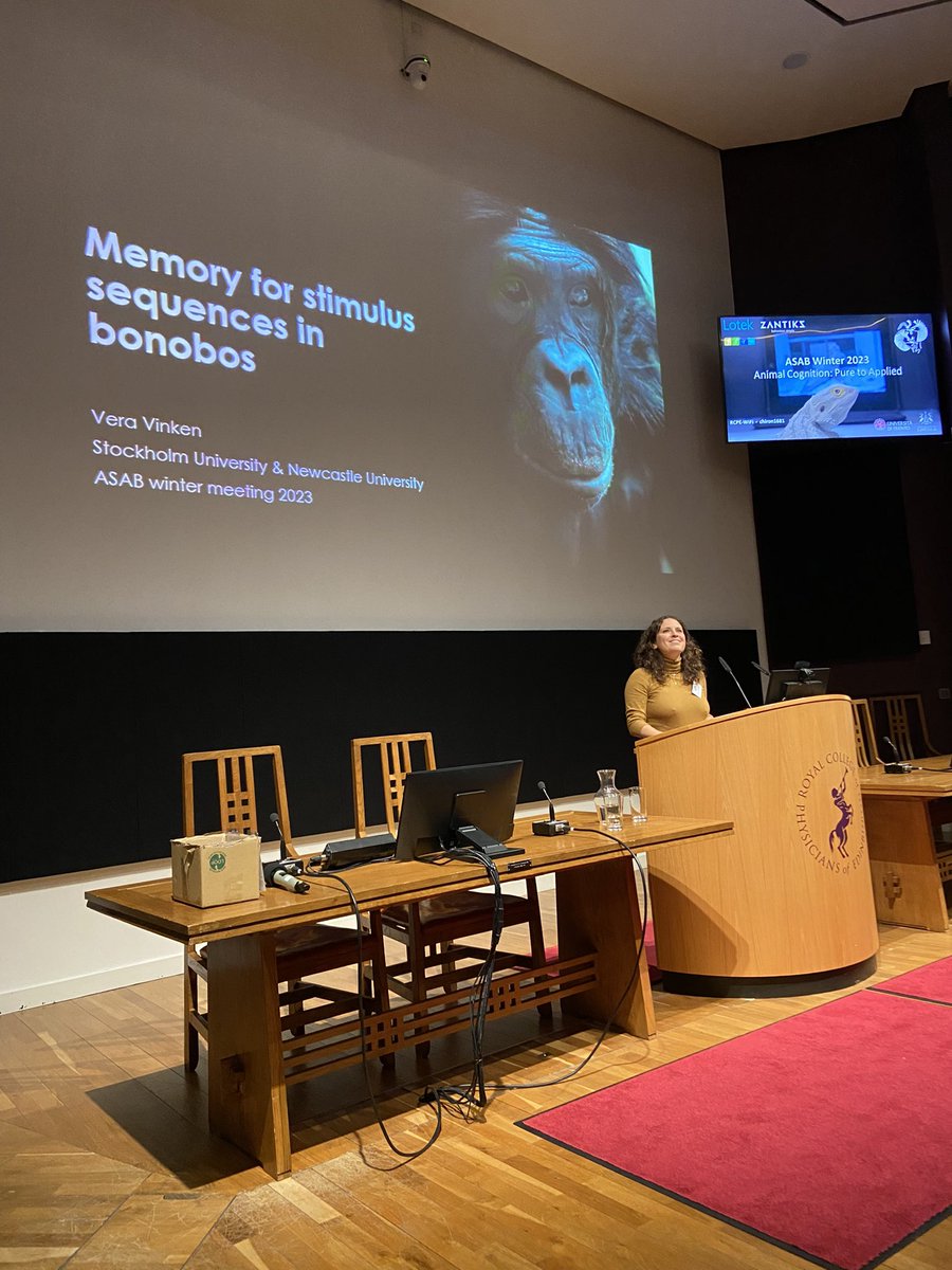 If you’re struggling right now, remember that bonobos have a hard time too (with stimulus sequences). Thanks <a href="/VeraVinken/">Vera Vinken</a>  #ASABwinter2023