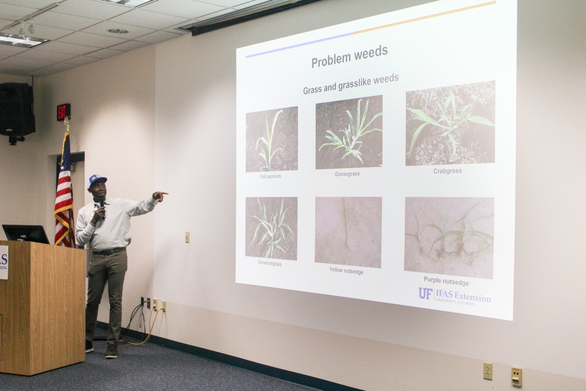 Everglades EREC recently hosted a Sweet Corn Management Workshop. Thank you to everyone that attended and to those who presented their research. #IFAS #UF @EvergladesREC