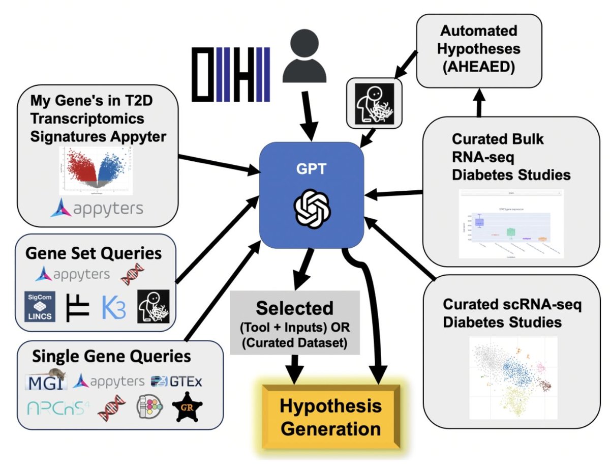 🧬🔍 Dive into the Diabetes & Data Exploration with D2H2! The Diabetes and Data and Hypothesis Hub is a transformative platform unlocking the potential of omics datasets in diabetes research. doi.org/10.1093/bioadv… @AviMaayan @IcahnMountSinai