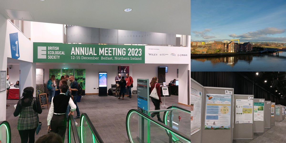 Environment Systems (@envsystems) on Twitter photo Want to know about monitoring pastures from space? 🛰️ Our colleague <a href="/Tara_L_ONeill/">Tara O'Neill</a> is presenting a poster (A1.6) at #BES2023 this evening. For a sneak preview, check it out here: envsys.co.uk/wp-content/upl…
#PASTORAL #Biomass #AgTech #Grazing #LivestockManagement #Sentinel1 🐄 Want to know about monitoring pastures from space? 🛰️ Our colleague <a href="/Tara_L_ONeill/">Tara O'Neill</a> is presenting a poster (A1.6) at #BES2023 this evening. For a sneak preview, check it out here: envsys.co.uk/wp-content/upl…
#PASTORAL #Biomass #AgTech #Grazing #LivestockManagement #Sentinel1 🐄