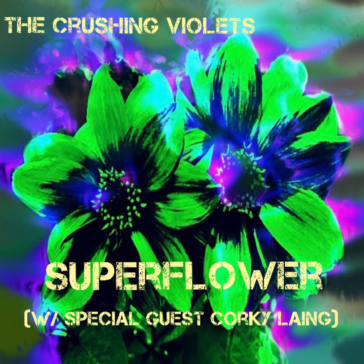 Thank you @60sPsychJukebox for playing our song Superflower! 🤩 thecrushingviolets.bandcamp.com/track/superflo… #indie #artist #Wednesdayvibe #rock #song