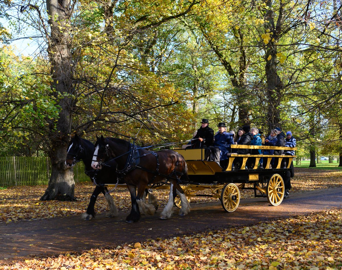 This December, experience Bushy Park like never before with a carriage ride, drawn by the majestic @OpCentaur Shire Horses 🐴 Enjoy the sounds of hoofs and bells, revel in the crisp air and get into the festive spirit 🎄 Find out more ▶️ bit.ly/41mb1Qn.