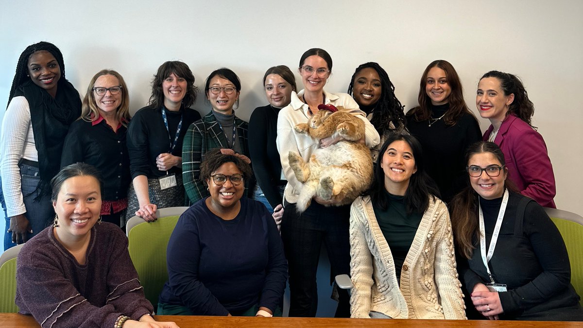 Yest my Dementia Care Aware team got a visit from Alex the Great (THE Bunny). We were SO honored he took the time to visit us & lower our stress levels. It was 90min of 'awwwww!!!'. 🧡💛🐰🐰🐰@UCSF @UCSFGeriatrics