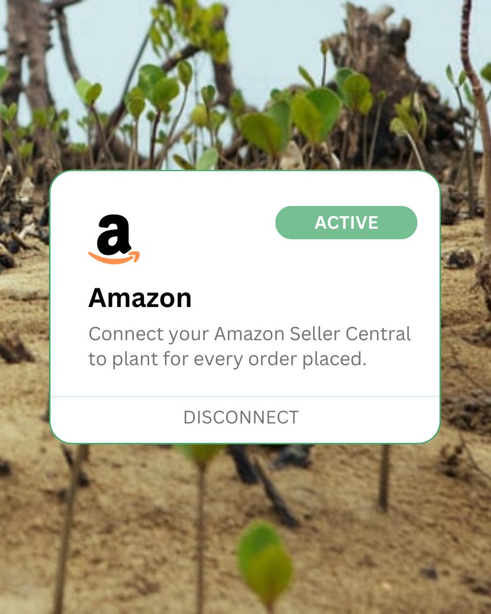 🌳 IT’S HERE 🌳 Our Amazon integration is now live! This allows brands to plant for all Amazon orders at the click of a button. 

You can use Ecodrive to help power a more sustainable shopping experience with #amazon customers and increase conversions with callouts on PDPs.