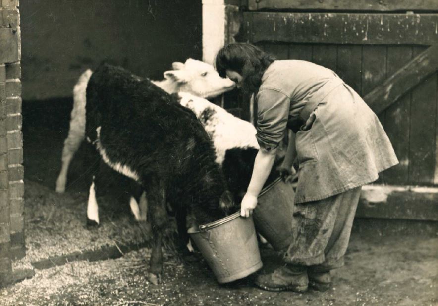 Reaseheath Alumni tweet media