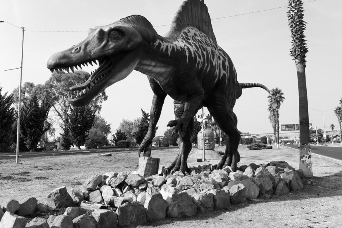 frco_ortega's tweet photo. HeghDI' vem ghaH, tu'lu' Dinosaur
El fotógrafo Joan #Fontcuberta presenta su fotolibro 'Dinosaurios' (en #Klingon, con fotografías b/n de #dinosaurios e imágenes generadas mediante IA).
El 16 Dic en el @santelmomuseoa https://t.co/uU8cIu08sX
#soyfan https://t.co/saWbVuROFe