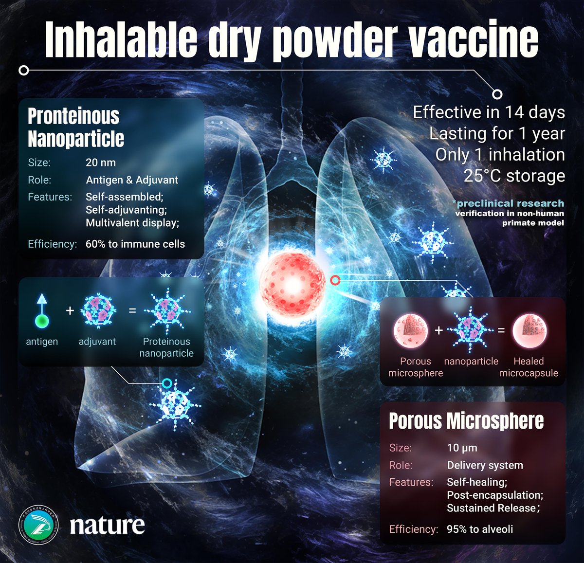 Nice graphic summary <a href="/Nature/">nature</a>
It's a dry powder for aerosol that does not have a cold chain requirement, big practical advantage