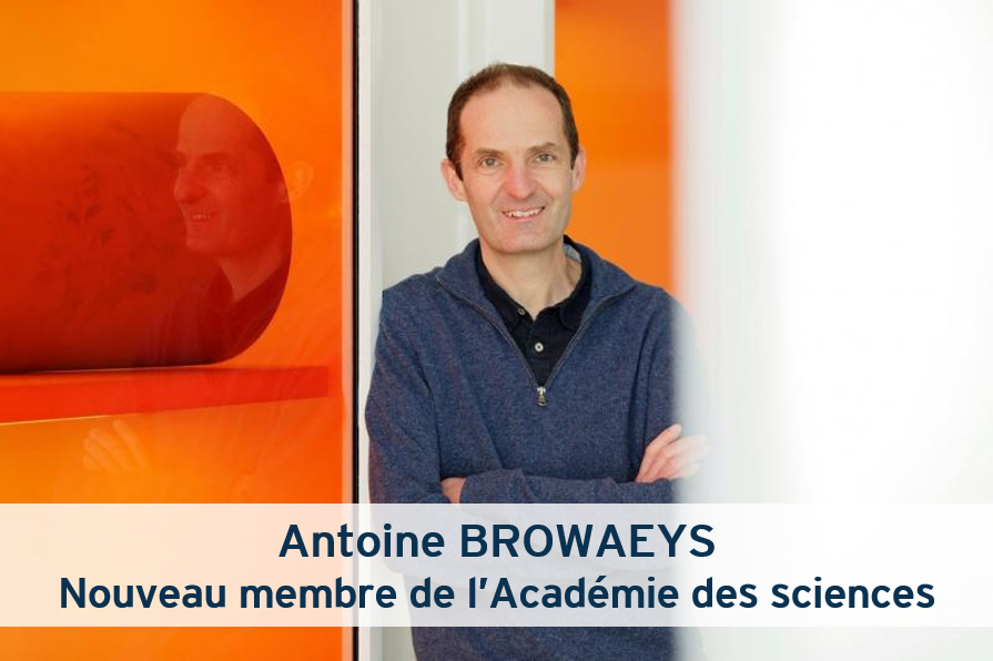 ✨ Félicitations à Antoine Browaeys, directeur de recherche CNRS au #LaboratoireCharlesFabry, qui vient d’être élu à l’Académie des sciences ! @AcadSciences @UnivParisSaclay @CNRSIdFSud