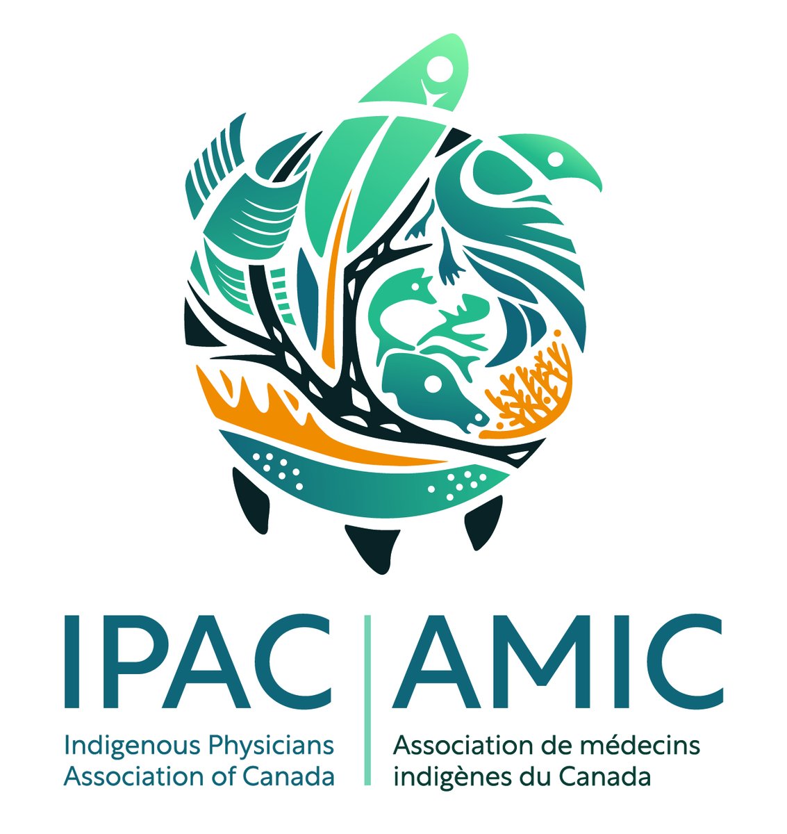 Statement: IPAC Stands Against Intimidation of Medical Learners Link to read: loom.ly/QLh7y2Q