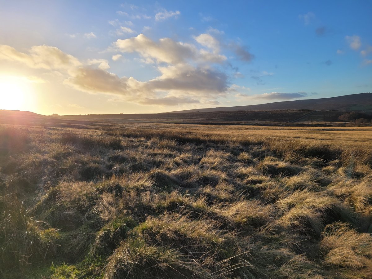 Sheffield & Rotherham Wildlife Trust (@wildsheffield) on Twitter photo Thanks to you we have reached our fundraising target of Β£1.2million to secure the purchase of Ughill Farm. Now we can test, learn and share techniques for a financially viable, nature-friendly farm! #30by30 #ThankYou <a href="/FCC_Communities/">FCC Communities Foundation</a> <a href="/veoliaenvtrust/">Veolia Environmental Trust</a>
πΈ Leo Ingvorsen Thanks to you we have reached our fundraising target of Β£1.2million to secure the purchase of Ughill Farm. Now we can test, learn and share techniques for a financially viable, nature-friendly farm! #30by30 #ThankYou <a href="/FCC_Communities/">FCC Communities Foundation</a> <a href="/veoliaenvtrust/">Veolia Environmental Trust</a>
πΈ Leo Ingvorsen