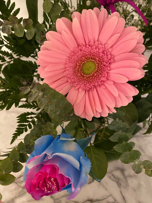 Beautiful &amp; fun #flowers! ❤️ https://t.co/wjz4QYLvor<a href="/tag/flowers"class="tags">#flowers</a>