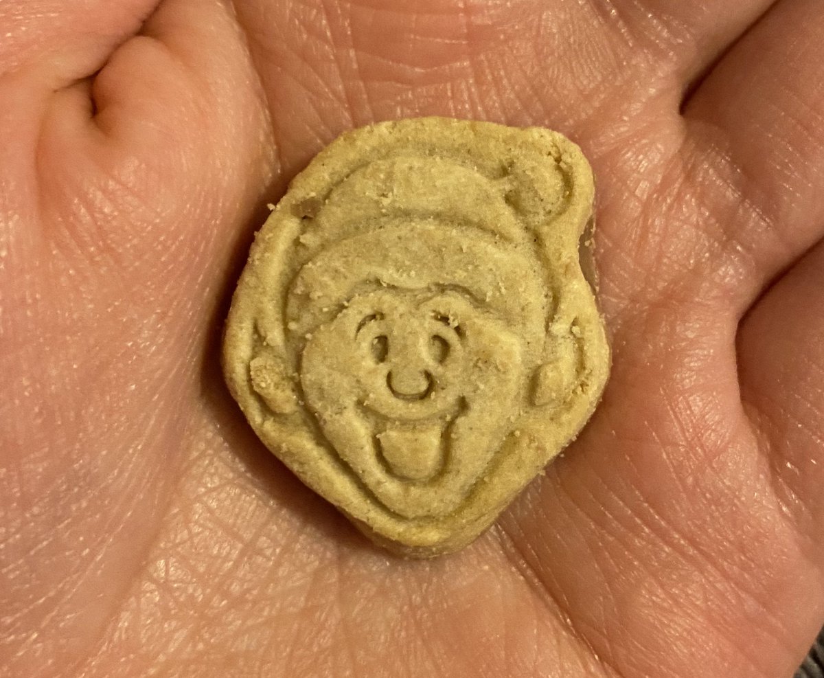 could i interest you in an elf cookie? 🤲🍪🥰