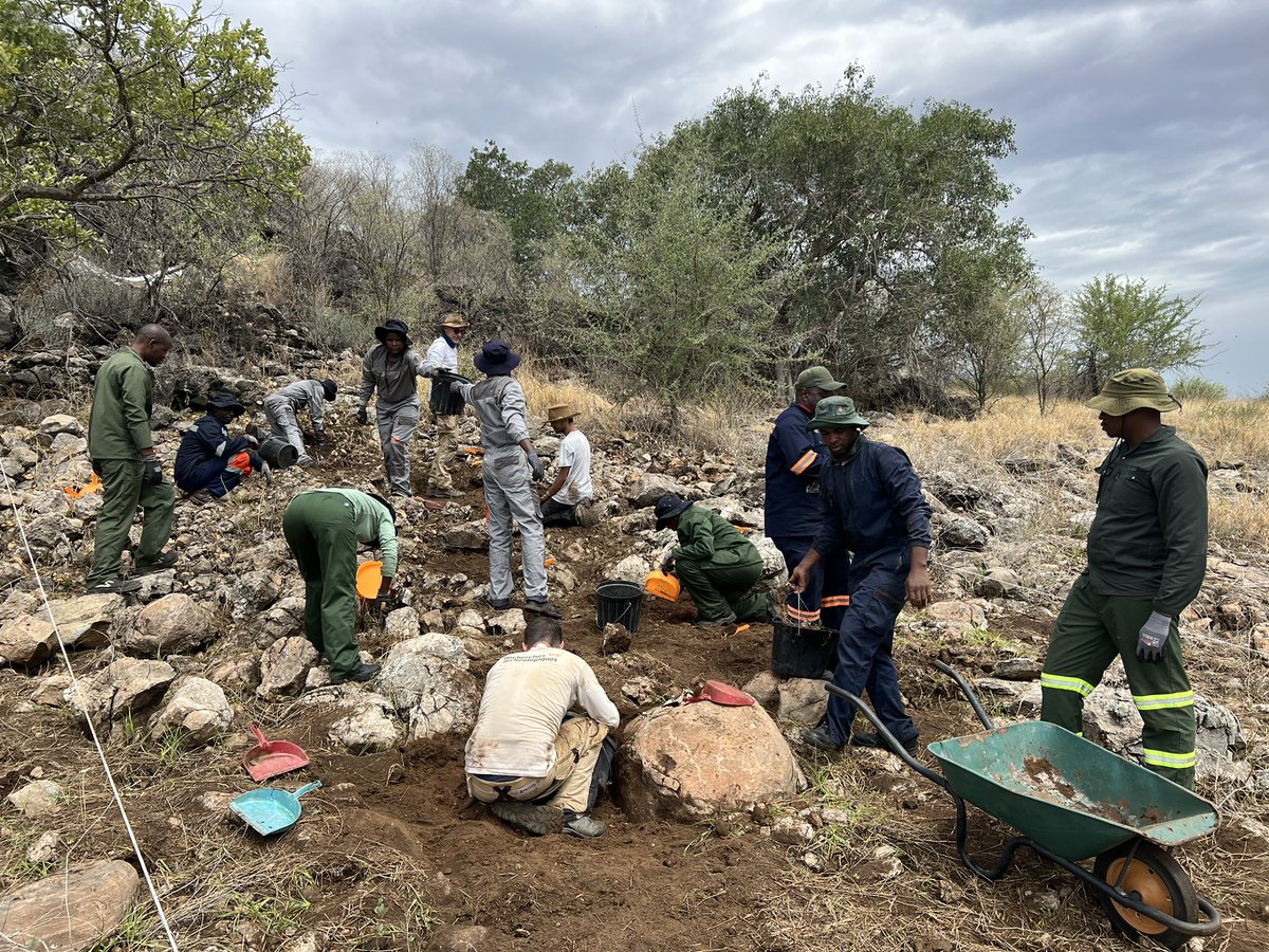 Can you imagine that we are excavating a #cave ? This one is so old that the roof was removed by erosion, exposing the stalagmites and the #fossils to the sun light.
#Botswana <a href="/CNRS/">CNRS 🌍</a>  <a href="/FFSpeleo/">FFSpeleo</a> <a href="/TotalEnergies/">TotalEnergies</a> <a href="/umr5608_traces/">TRACES labo d'archéo SUSPENDU🦋</a> <a href="/PACEA_Bordeaux/">PACEA</a> <a href="/LAMPEA_officiel/">UMR 7269 LAMPEA</a> <a href="/museumtoulouse/">Muséum de Toulouse</a> <a href="/Inrap/">Inrap</a>