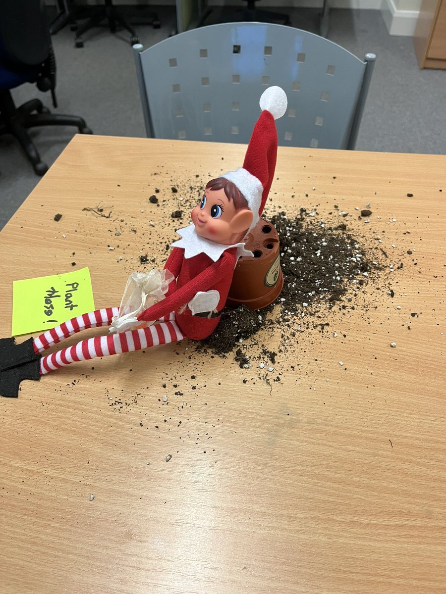 More elf antics…
<a href="/RivermeadSchool/">Rivermead School</a> <a href="/RivermeadTrust/">Rivermead Inclusive Trust</a>