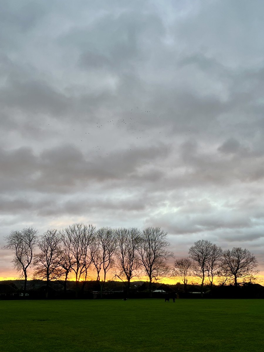 Walking home across the park. Bare trees silhouetted in the sunset. Really rather beautiful #Hampshire #trees #winter