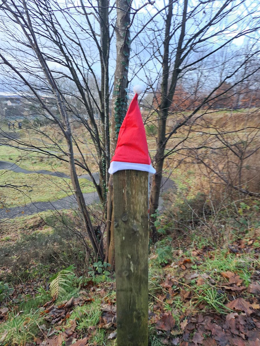 <a href="/DinerLhs/">LHS Diner</a> pupils and bears on the Santa Dash today! Great effort from all 🐻 🐻 🧑‍🎄 🧑‍🎄 <a href="/Larbert_Sport/">LHS Sport 🏏🎾⚾🏀⚽</a>
