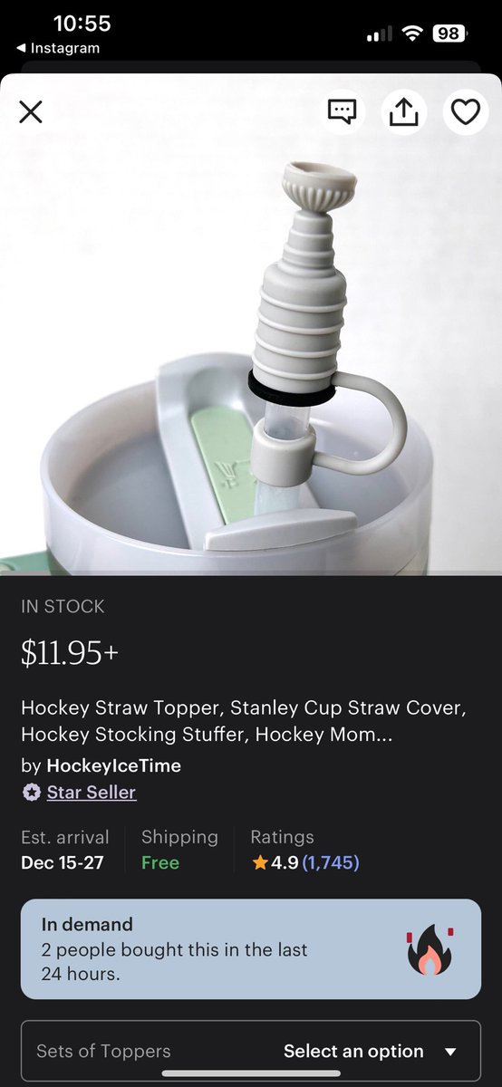 L⚡️nds☠️y J💥y on X: Stanley Cup straw topper for your