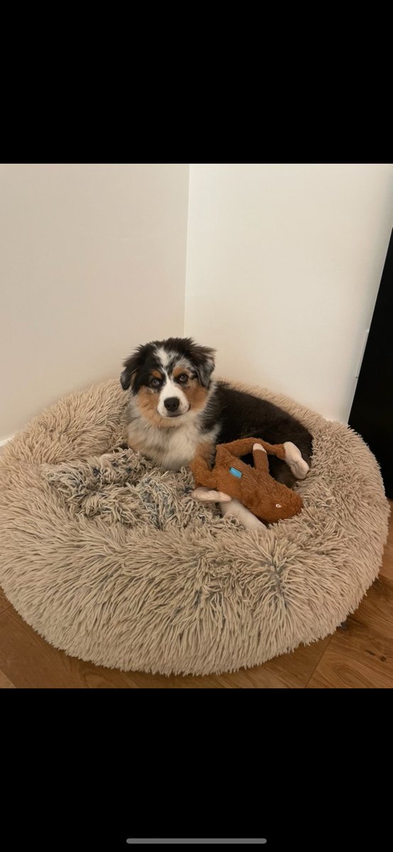 This is Babka. She would really appreciate it if you looked at her today instead of Law360's content. Stand in solidarity with the <a href="/law360union/">Law360Union</a> and don't cross the digital picket line!!